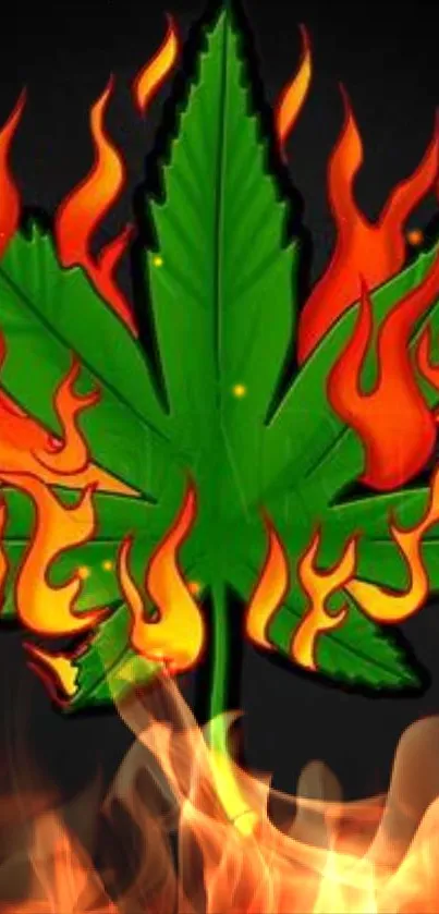 Green leaf with orange flames on dark background wallpaper.