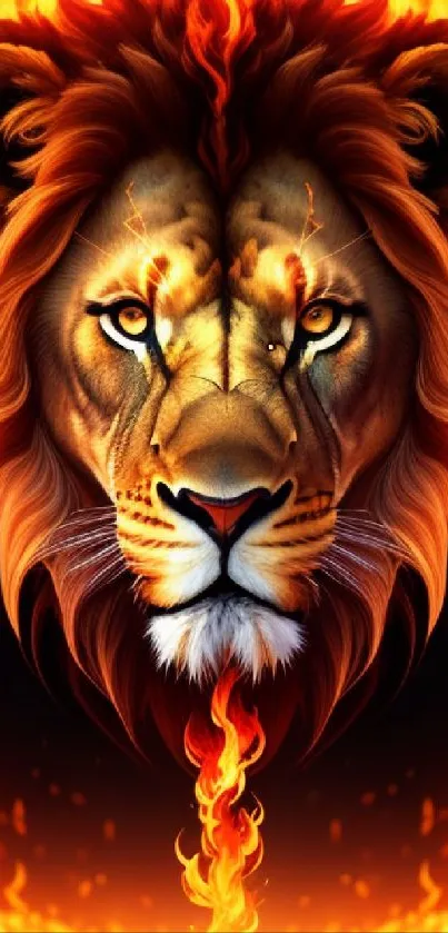 Fiery lion wallpaper with glowing mane and intense gaze.