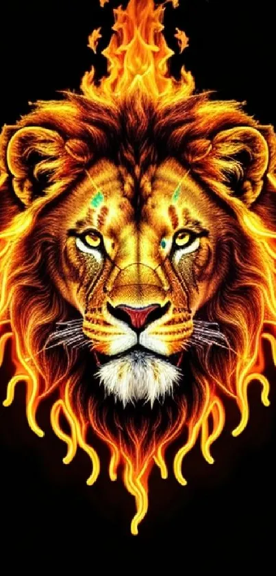 Fiery lion with flames on a vibrant wallpaper background.