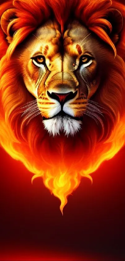 A powerful lion head engulfed in fiery flames on a dark background.