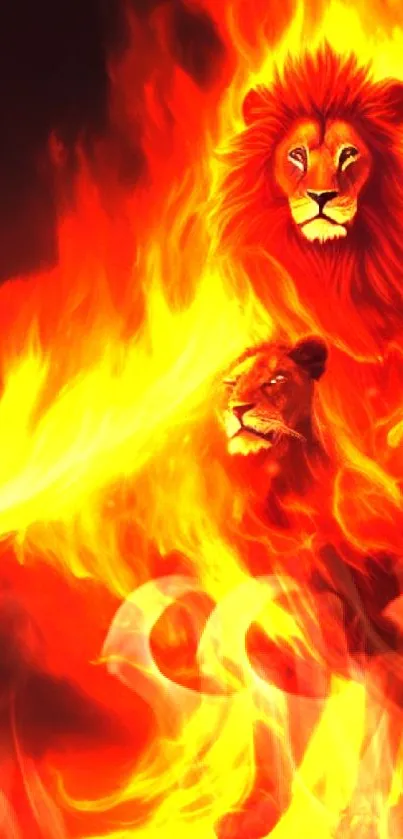 Two lions in fiery flames, vibrant and majestic wallpaper.