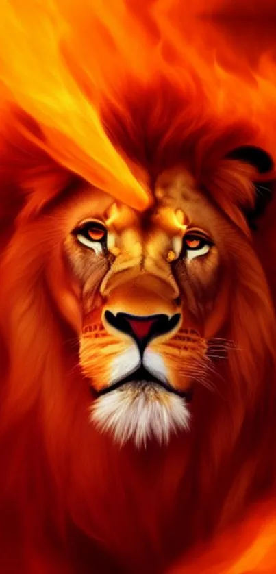 Fiery lion with vibrant orange mane mobile wallpaper.