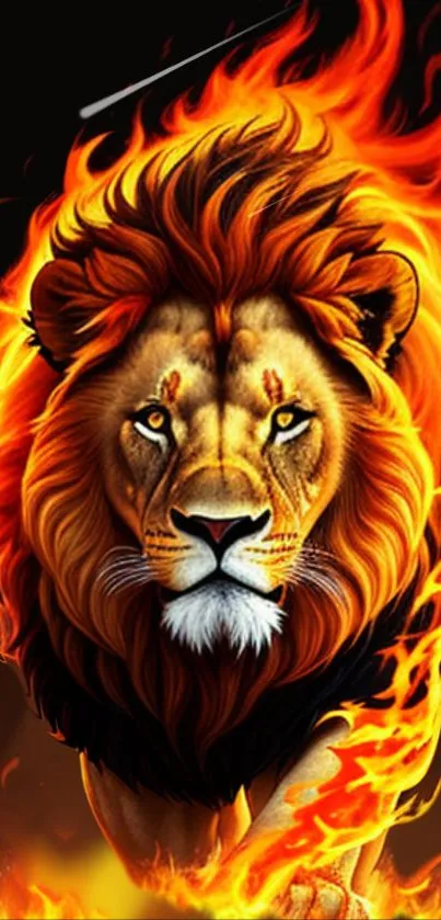 Lion with fiery mane on black background, stunning mobile wallpaper.