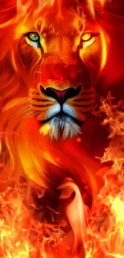 Fiery lion engulfed in vibrant flames on a mobile wallpaper.