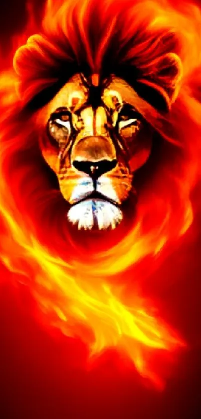 Lion engulfed in fiery flames, creating a bold and intense mobile wallpaper.