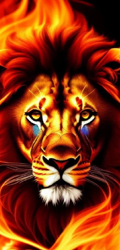 Majestic fiery lion with vibrant flames in this mobile wallpaper.