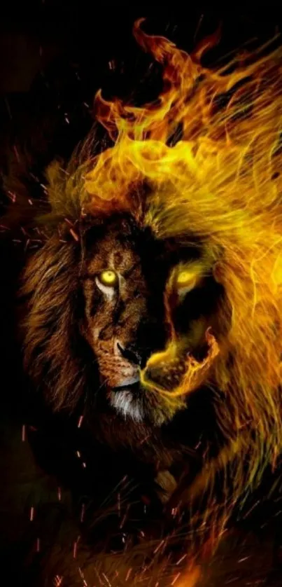 Lion with fiery mane wallpaper for mobile