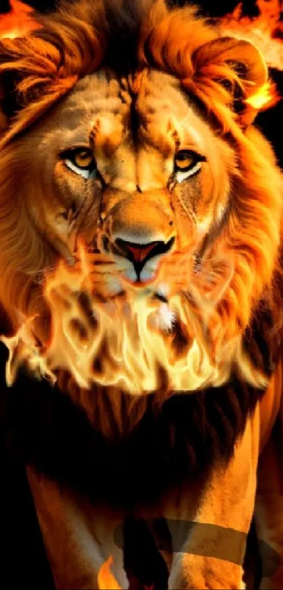 Fiery lion wallpaper with a flaming mane on a dark background.