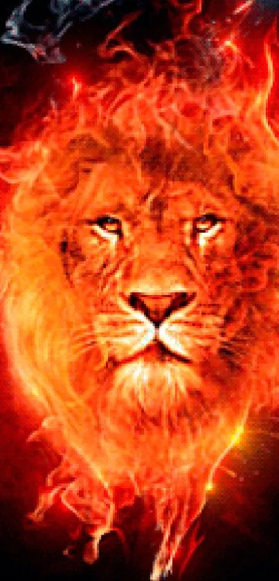 Fiery lion mobile wallpaper with vibrant red and orange hues.