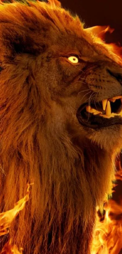 Majestic lion with fiery mane set against a vibrant flame background.