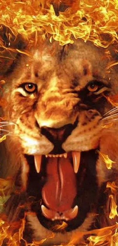 Roaring lion engulfed in vivid flames, creating a dynamic mobile wallpaper.