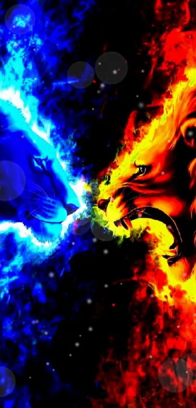 Lion and panther on fiery and blue background wallpaper.