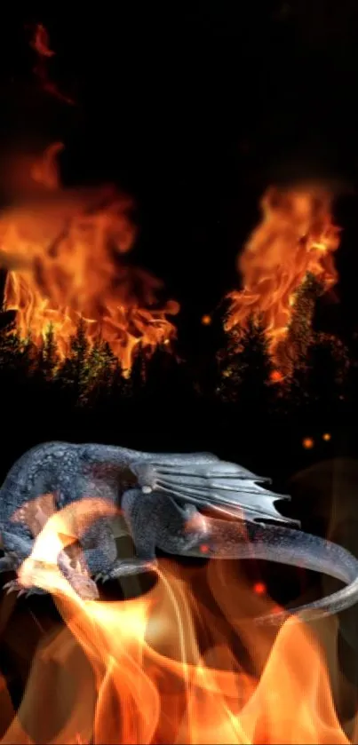 Fiery lizard and stars on black background wallpaper.