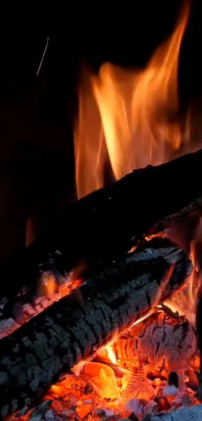 Burning logs with vibrant fire flames in a dark setting.