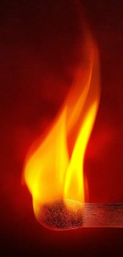 Vibrant matchstick flame against red background.