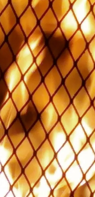 Fiery mesh wallpaper with burning flames and netting design for mobile.