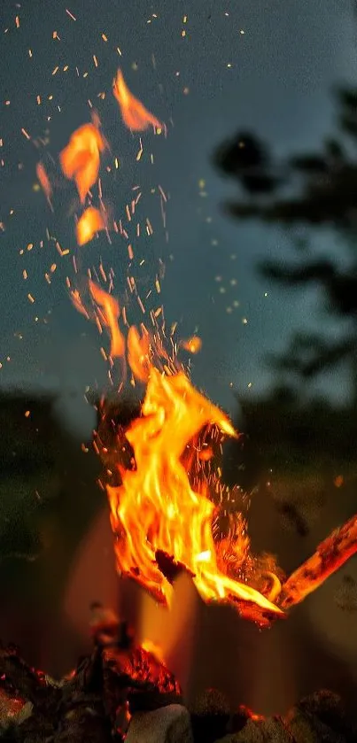 Vibrant campfire with glowing flames under a dark night sky.