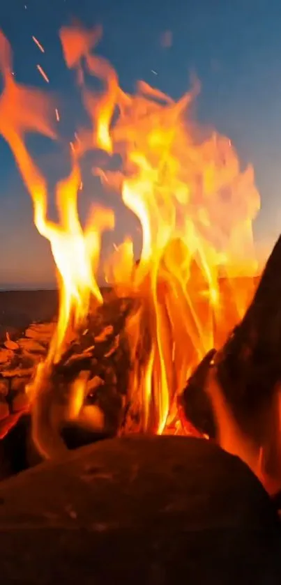 Vibrant campfire flames under a serene night sky.