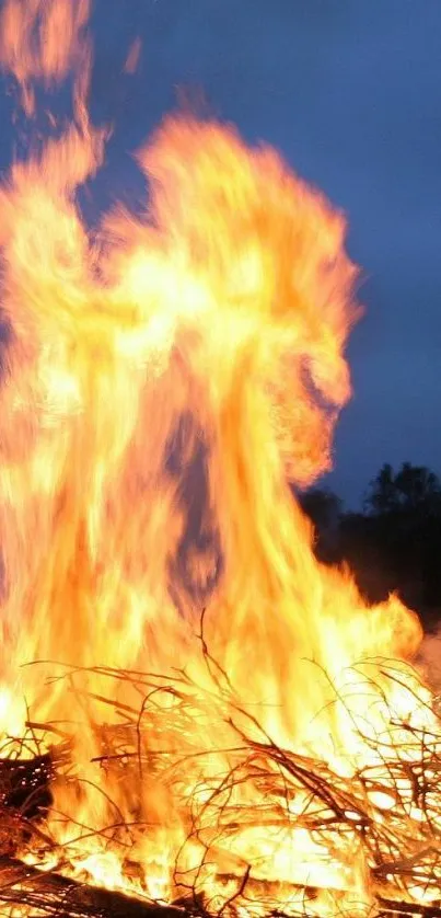 Blazing bonfire under a dark sky.