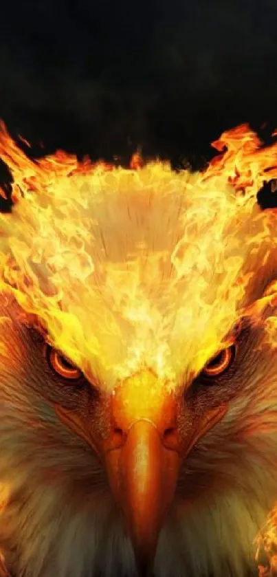 Fiery phoenix eagle with flames in vivid mobile wallpaper.