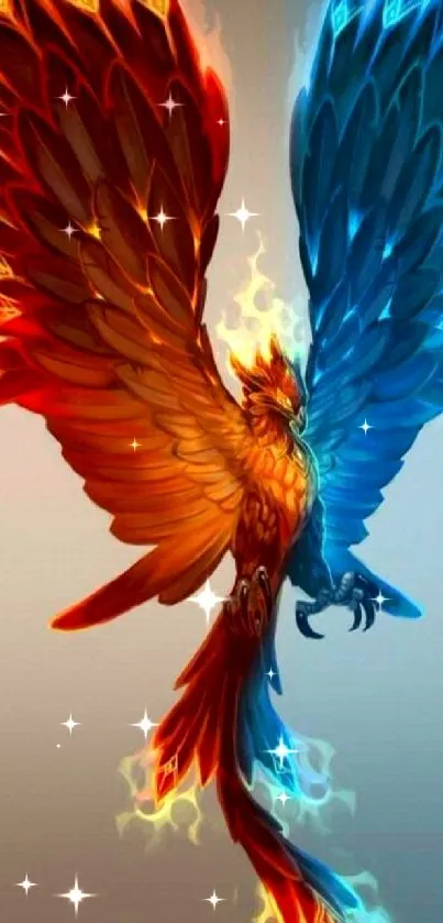 Phoenix with red and blue fiery wings in fantasy art wallpaper.