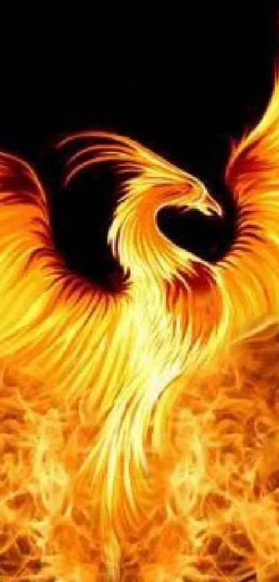 Fiery phoenix with flaming wings, set against a dark background.