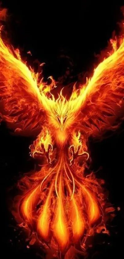 Fiery phoenix on dark background wallpaper for mobile display.