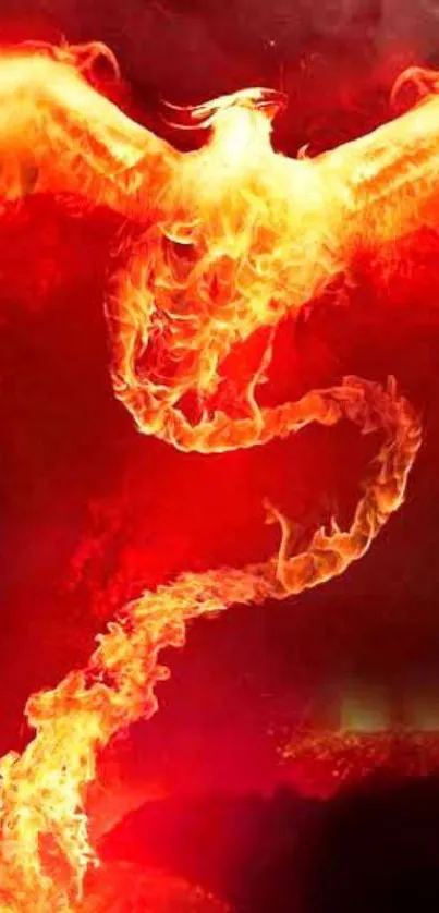 Fiery phoenix with flames on red background.