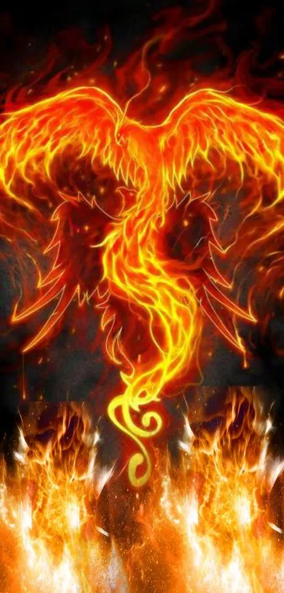 Fiery phoenix with vibrant orange flames on a black background.