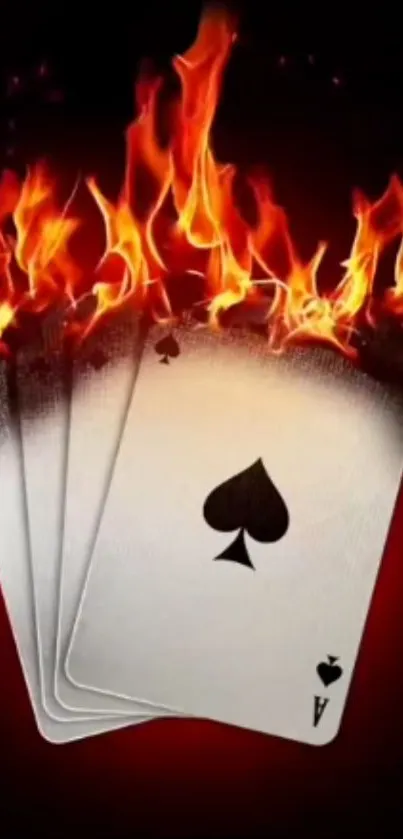 Burning playing cards on dark background wallpaper.