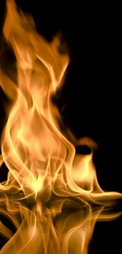 Fiery flames reflecting in dark background wallpaper.