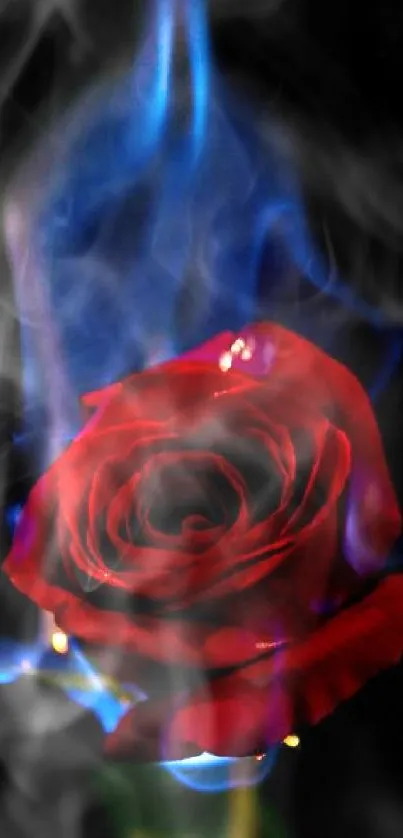 A red rose with blue flames on a black background.