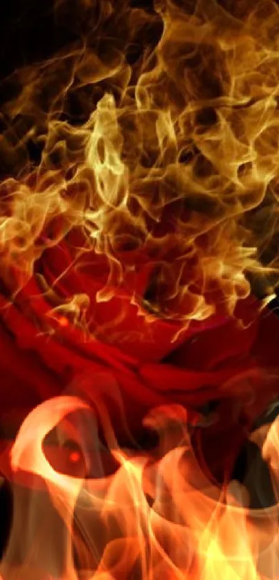 A red rose engulfed in flames against a dark background, creating a dramatic effect.