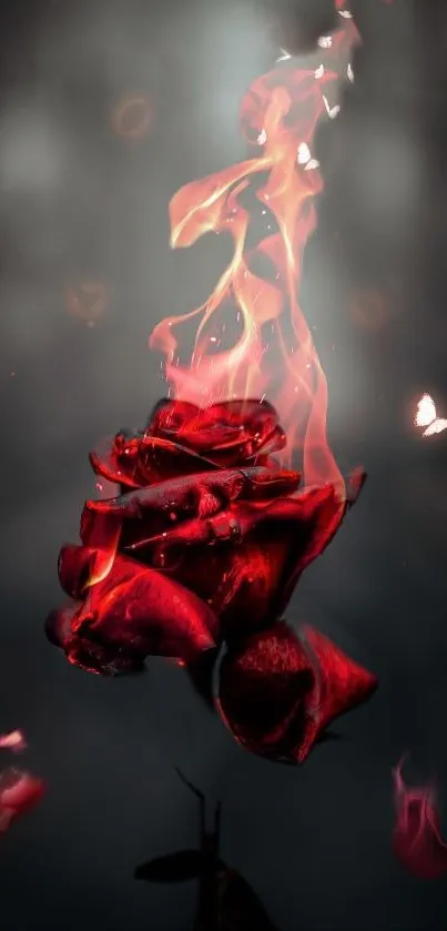 A stunning red rose engulfed in fiery flames on a dark background.