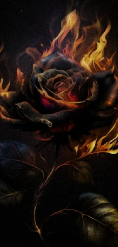 Dark rose with fiery flames, artistic mobile wallpaper.