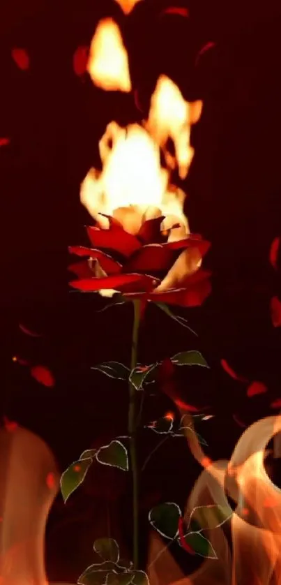 Mobile wallpaper of a rose with flames and falling red petals.