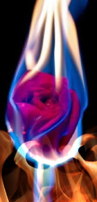 A red rose engulfed in vibrant blue flames against a dark background.