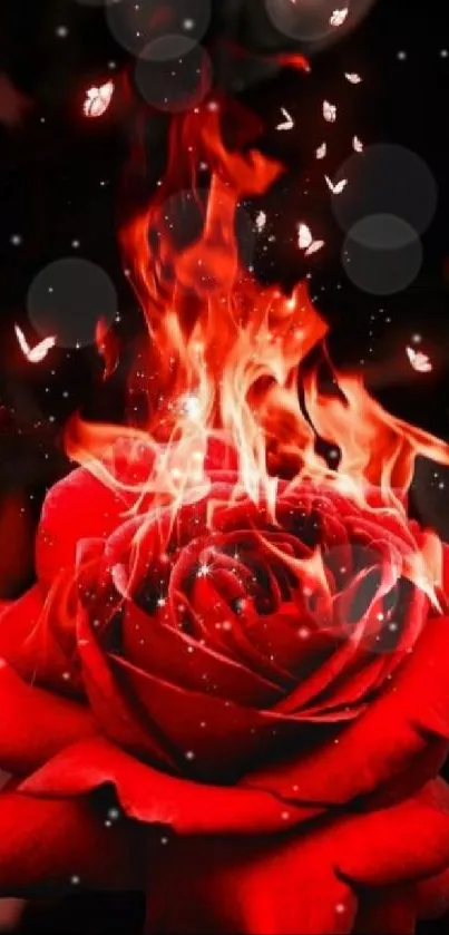 Red rose engulfed in flames with glowing embers.