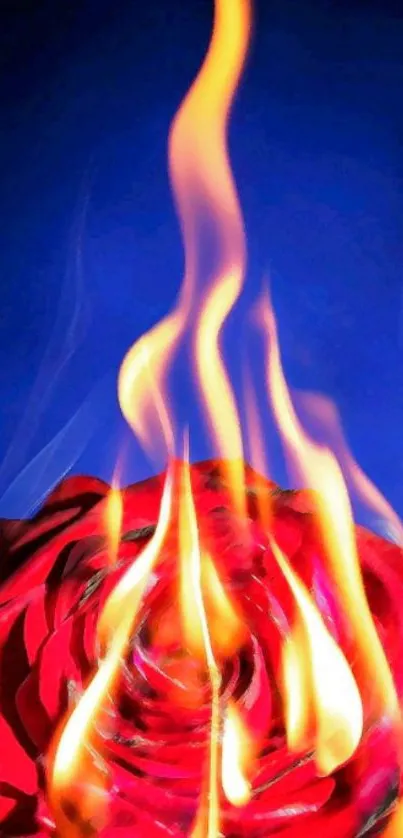 Red rose engulfed in flames against a vivid blue background.