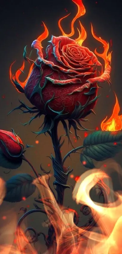 Fiery rose with flames in dark background.