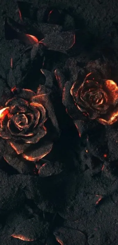 Fiery roses on a dark background wallpaper.