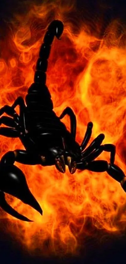 Black scorpion with fiery orange flames backdrop.