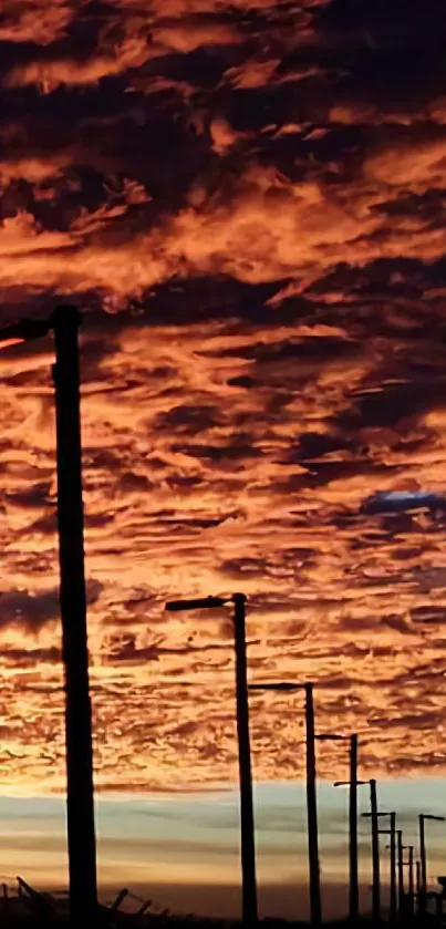 Fiery sunset sky with lamppost silhouettes.