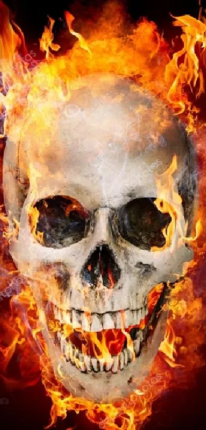 A dramatic skull surrounded by fiery orange flames, perfect for mobile wallpaper.