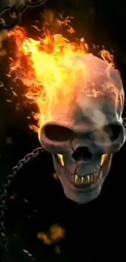 Skull with flames and chains, dark theme.