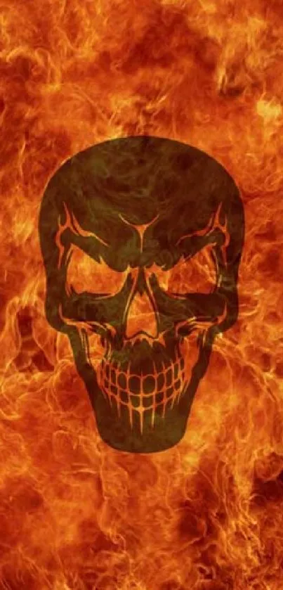 Fiery skull design with blazing background.