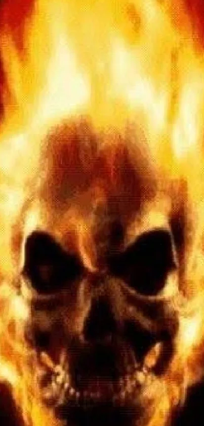 Fiery skull wallpaper with engulfing flames.