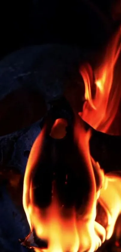 Fiery skull with intense orange flames on a dark background.