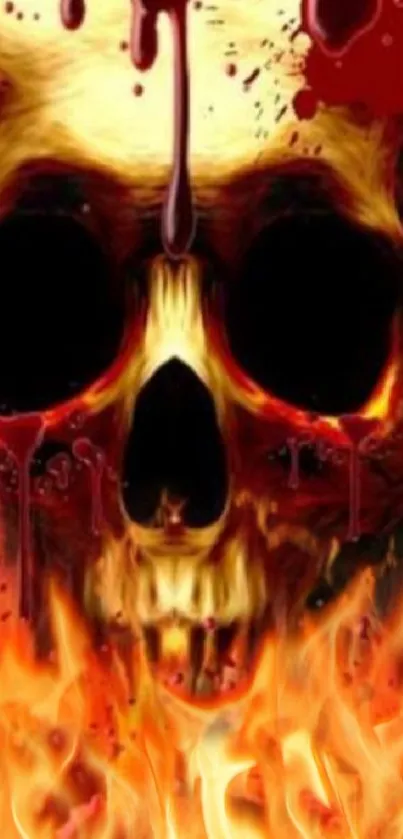 Fiery skull with dripping blood on a dark background.