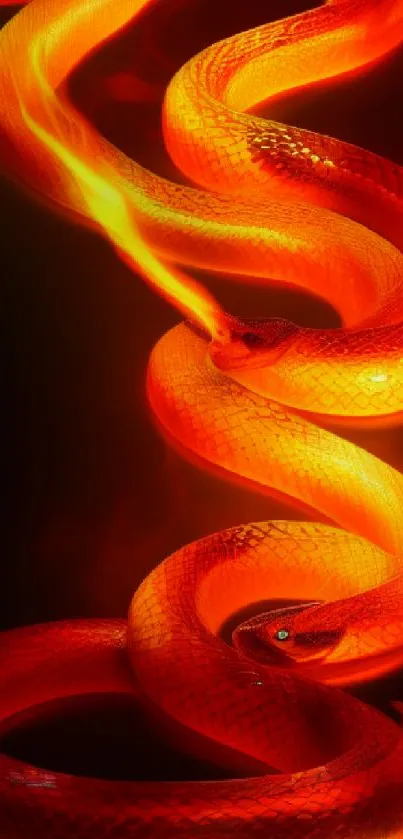 Vibrant fiery snake on dark mobile wallpaper with red-orange hues.